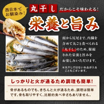 【入金確認後、最短5日以降に出荷】丹後の地元鮮魚店が作った店主お任せ干物詰め合わせセット3種/訳あり