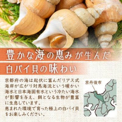 白バイ貝のエスカルゴバター