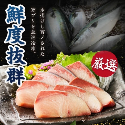 魚屋が捌く寒ブリ約1kg切り身　ロイン(2ブロック)冷凍