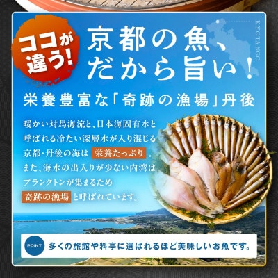 【毎月定期便】京都 京丹後の地元鮮魚店が作ったお任せ干物　3種【訳あり】全3回