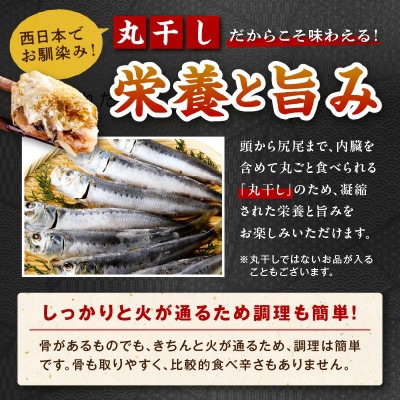【毎月定期便】京都 京丹後の地元鮮魚店が作ったお任せ干物　3種【訳あり】全3回