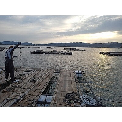 京都久美浜産　殻付き牡蠣　2人前 3キロ