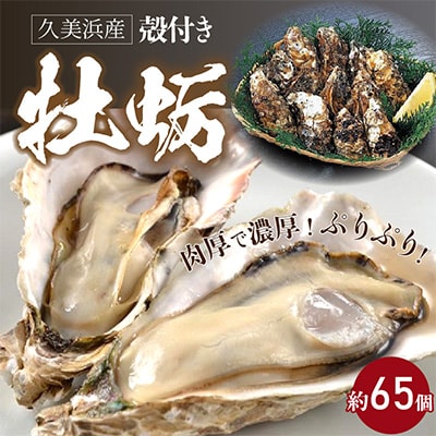 久美浜産殻付牡蠣　約65ヶ入り