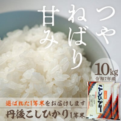 令和7年産　丹後こしひかり1等米10kg[5kg×2袋]