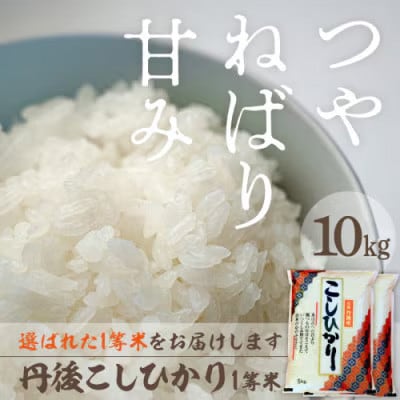 令和8年産　丹後こしひかり1等米10kg[5kg×2袋]
