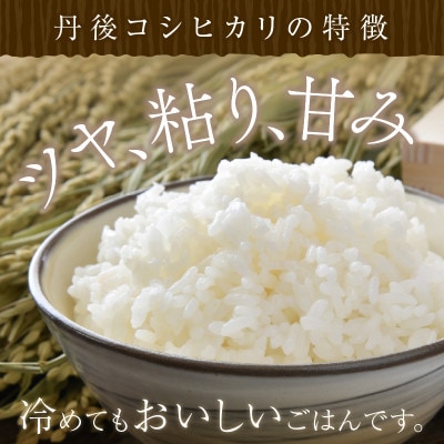 令和6年産　丹後こしひかり1等米10kg[5kg×2袋]