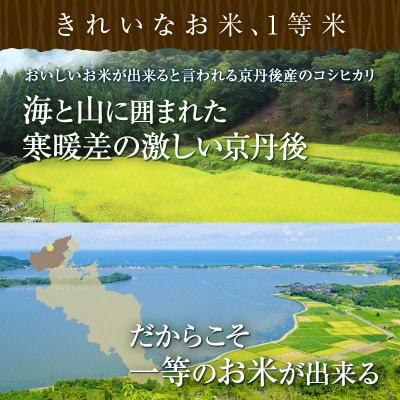 令和6年産　丹後こしひかり1等米10kg[5kg×2袋]