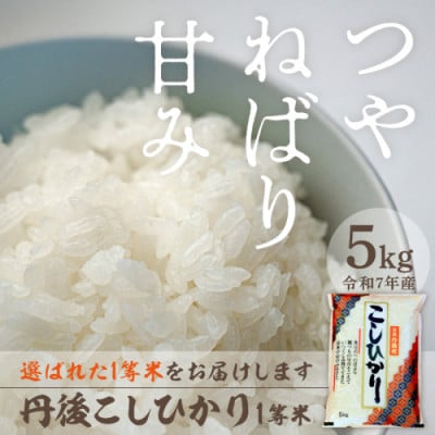 令和7年産　丹後こしひかり1等米5kg