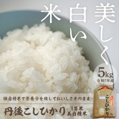 令和7年産　丹後こしひかり1等米5kg　美白精米