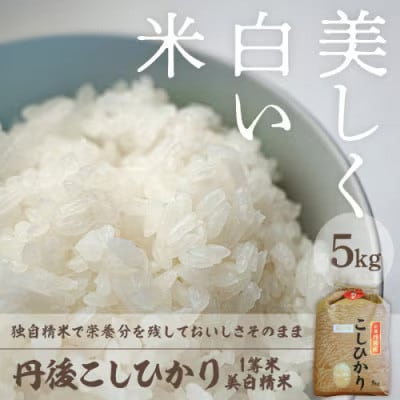 令和8年産　丹後こしひかり1等米5kg　美白精米