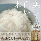 令和7年産　丹後こしひかり1等米10kg　美白精米[5kg×2袋]