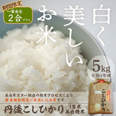 【冬限定】令和4年産　丹後こしひかり5kg　美白精米 + 丹後こしひかり1等米2合付き