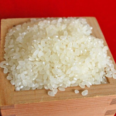 【冬限定】令和4年産　丹後こしひかり5kg　美白精米 + 丹後こしひかり1等米2合付き