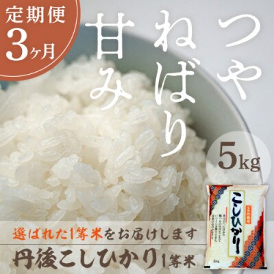 【毎月定期便】丹後こしひかり1等米5kg全3回