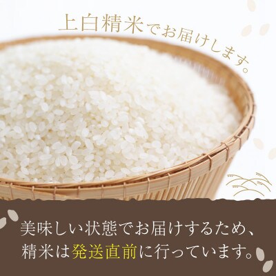 【毎月定期便】丹後こしひかり1等米5kg全3回