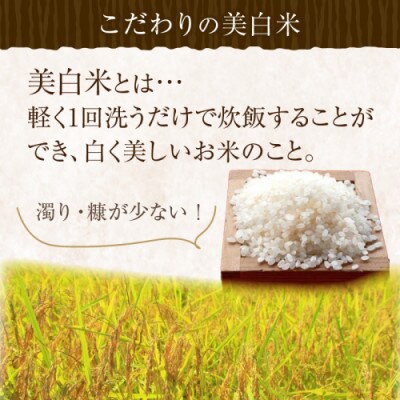 【毎月定期便】丹後こしひかり1等米5kg　美白精米全3回