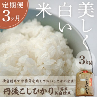 【毎月定期便】丹後こしひかり1等米3kg　美白精米全3回