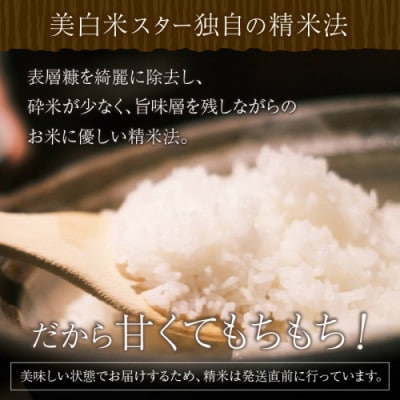 【毎月定期便】丹後こしひかり1等米3kg　美白精米全3回