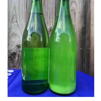 丹後地酒新酒　玉川「しぼりたて生原酒とにごり酒」セット