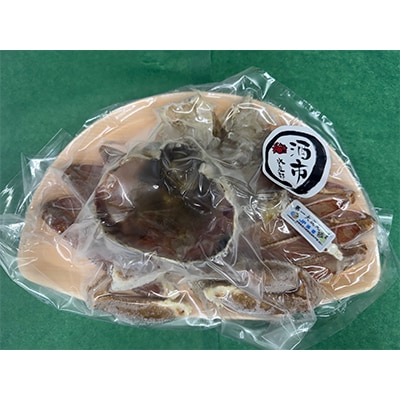 調理済み活〆松葉ガニ　加工前600g前後×1匹(濃縮だし付き)