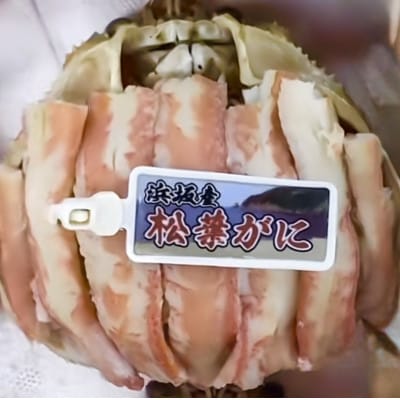 松葉ガニ　甲羅盛　L