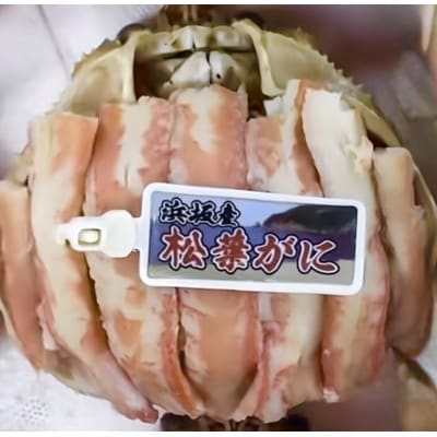松葉ガニ甲羅盛　3L