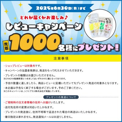 レビューキャンペーン!京都産干し芋(紅はるか) 小分け100g×10袋【百年の伝統と味を誇る山城屋】
