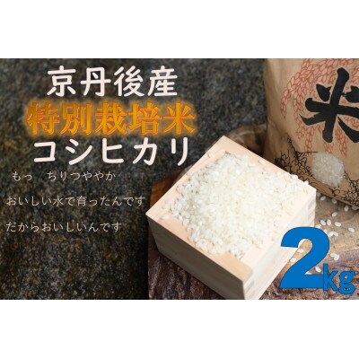 令和3年産 特別栽培米コシヒカリ2kg