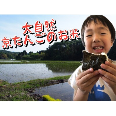 令和3年産 特別栽培米コシヒカリ2kg
