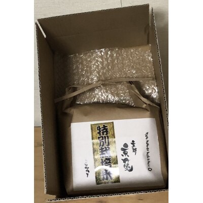 令和3年産 特別栽培米コシヒカリ2kg