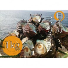 日本海天然・活さざえ1kg | ふるさと納税のお礼品
