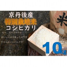 2023年7月発送開始『定期便』特別栽培米コシヒカリ10kg 全3回