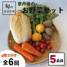 2023年11月発送開始『定期便』旬のお野菜おまかせ5種セット(1～2人)全6回
