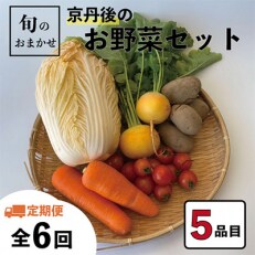 2023年7月発送開始『定期便』旬のお野菜おまかせ5種セット(1～2人)全6回