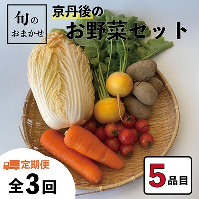 2023年5月発送開始『定期便』旬のお野菜おまかせ5種セット(1~2人)全3回