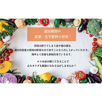2023年5月発送開始『定期便』旬のお野菜おまかせ5種セット(1~2人)全3回