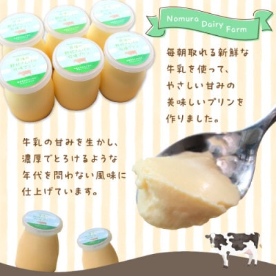 循環型の酪農に取り組む/丹後の野村さんげの牧場プリンギフト(8個入り)