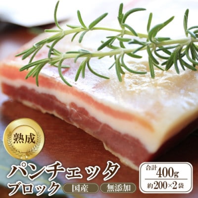 国産パンチェッタブロック(豚バラ肉の塩漬け)400g(約200g×2袋) 1ヵ月間熟成 豚肉