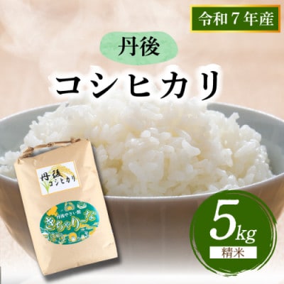 【令和7年産/直売所直送】検査1等米 丹後コシヒカリ 精米5kg 直売所からおいしいお米をお届け