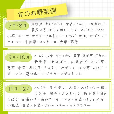 直売所直送「京都・京丹後産 季節の野菜」お任せ詰め合わせBOX(5品以上)(2023年7月～発送)