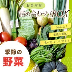 直売所直送「京都・京丹後産 季節の野菜」お任せ詰め合わせBOX(5品以上)