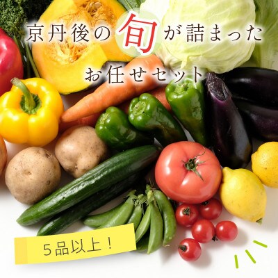 直売所直送「京都・京丹後産 季節の野菜」お任せ詰め合わせBOX(5品以上)