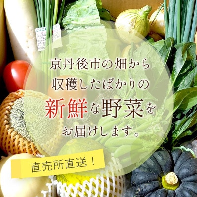 直売所直送「京都・京丹後産 季節の野菜」お任せ詰め合わせBOX(5品以上)