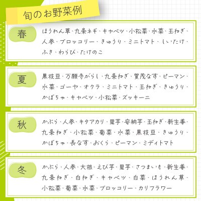 直売所直送「京都・京丹後産 季節の野菜」お任せ詰め合わせBOX(5品以上)
