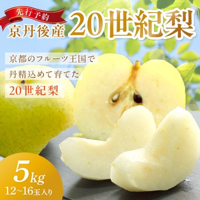 京丹後産 20世紀梨 5kg(12～16玉入り)(2025年9月順次発送予定)