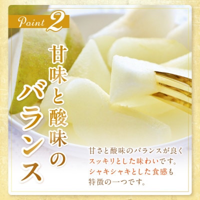 京丹後産 20世紀梨 5kg(12～16玉入り)(2025年9月順次発送予定)