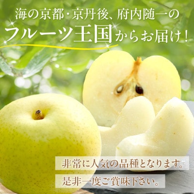 京丹後産 20世紀梨 5kg(12～16玉入り)(2025年9月順次発送予定)