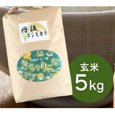 【令和6年産/直売所直送】検査1等米 丹後コシヒカリ 玄米5kg 直売所からおいしいお米をお届け