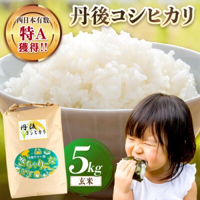 【令和7年産/直売所直送】検査1等米 丹後コシヒカリ 玄米5kg 直売所からおいしいお米をお届け