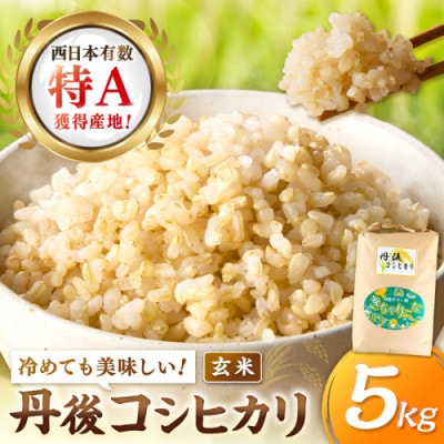 【令和7年産/直売所直送】検査1等米 丹後コシヒカリ 玄米5kg 直売所からおいしいお米をお届け